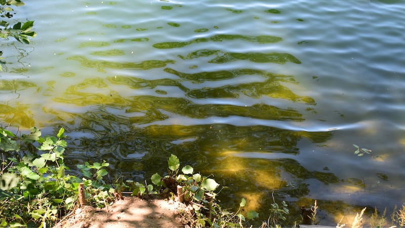 The boy was pulled from the water as others called 911. The boy was taken from the scene in a...