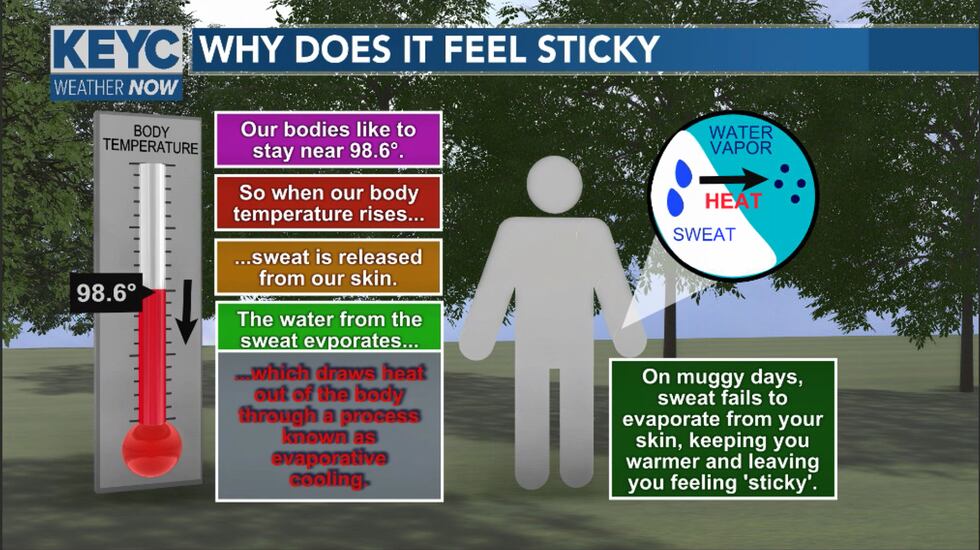 Sweat over the next couple days will struggle to evaporate meaning less cooling making temps...