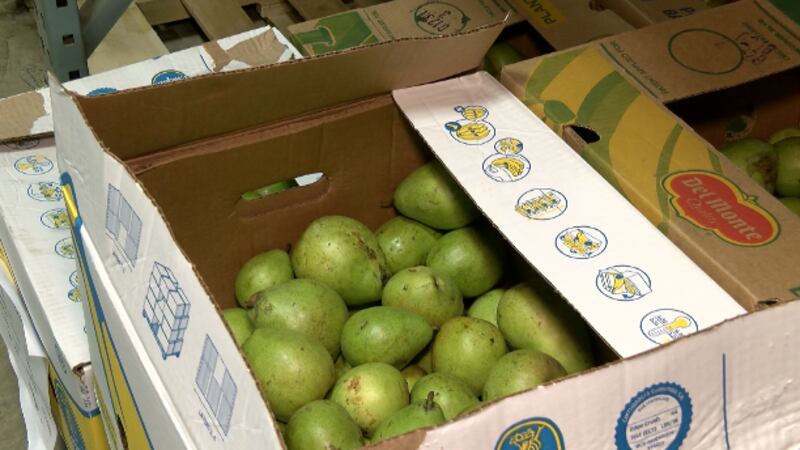 Minnesota food shelves