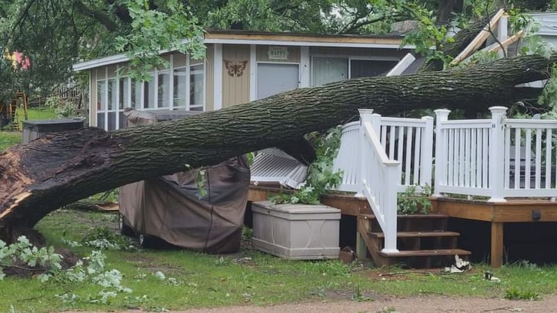 Storm damage at Toad Lake.